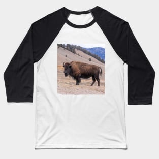 Bison Buffalo Adult Photograph Baseball T-Shirt